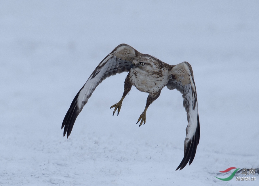 Photo taken on 2015-11-19 06-12-05 (4).jpg