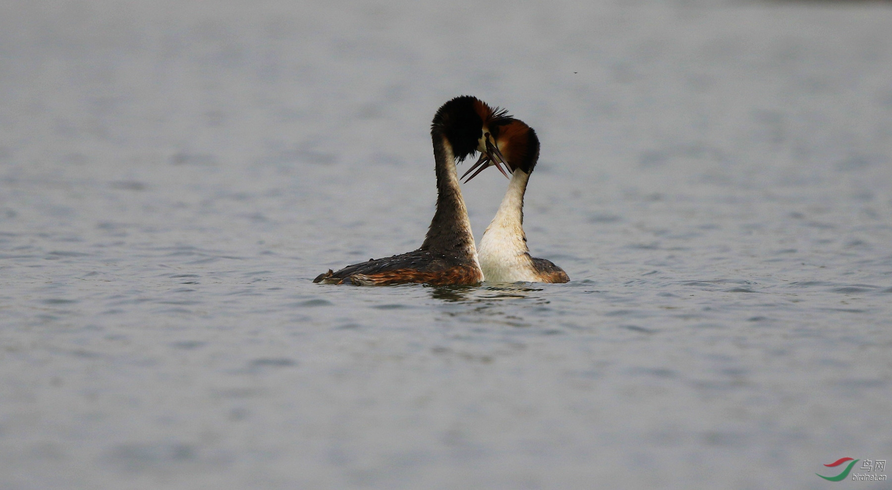 0V8A7145_����.jpg