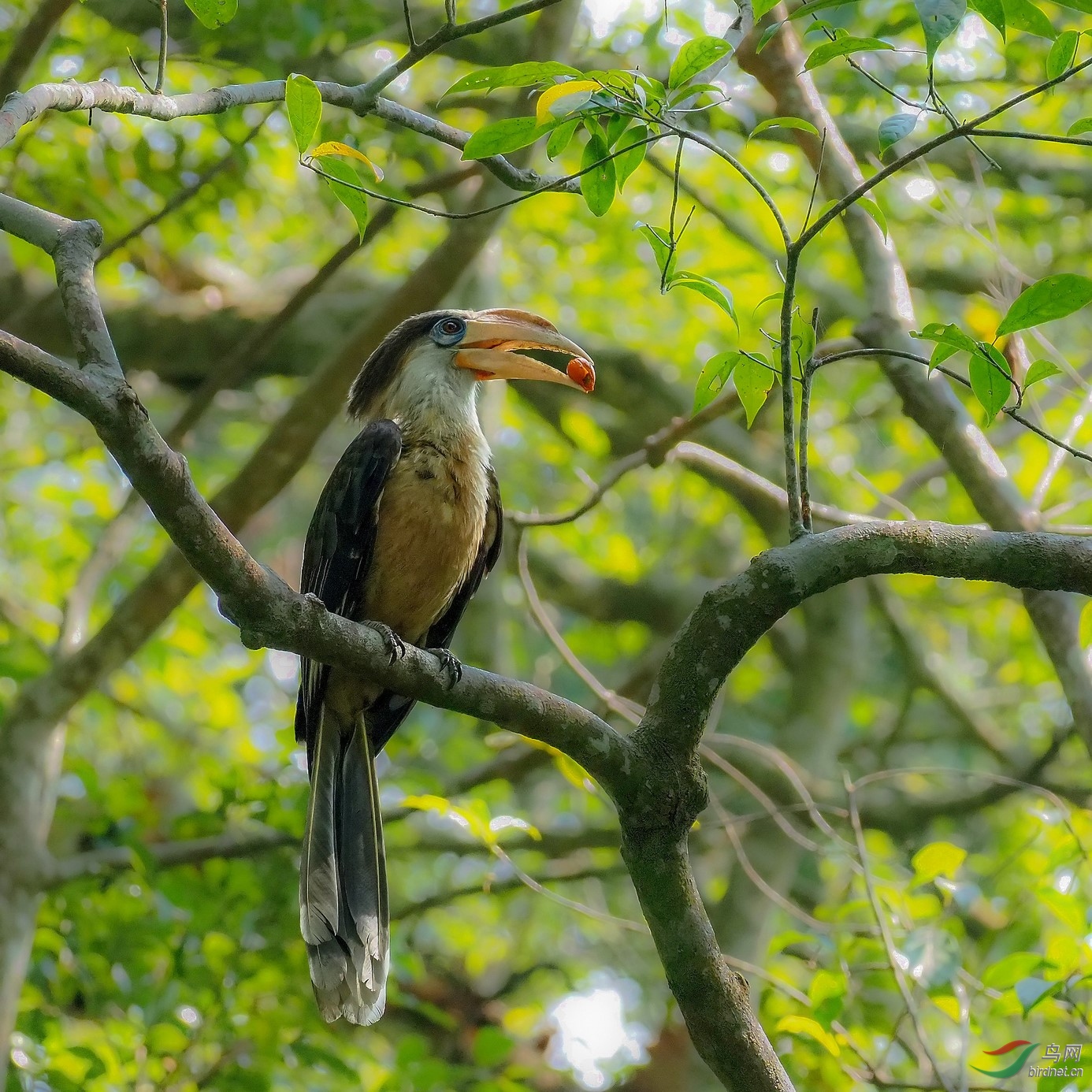 P3220407_����.jpg1_DxO (����).jpg