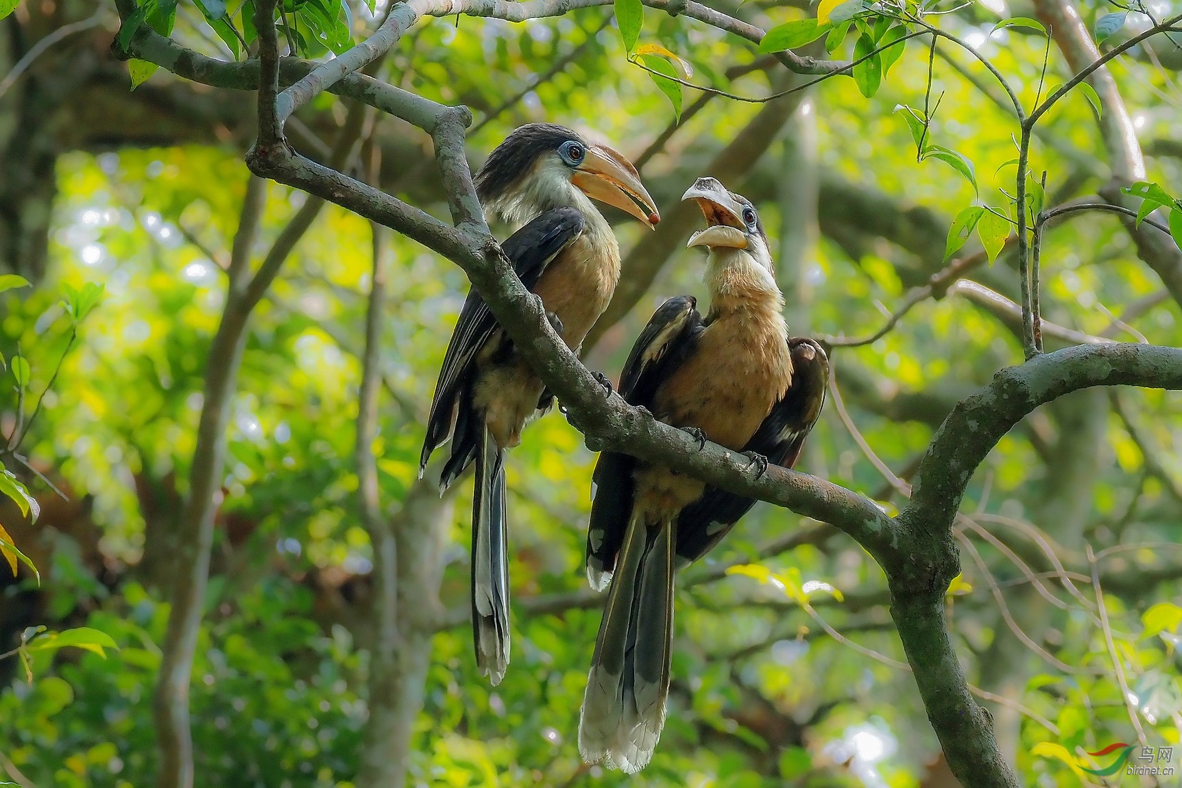 P3220442_����.jpg1_DxO (����).jpg