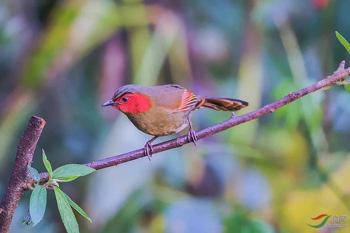 _DSC9757.jpg