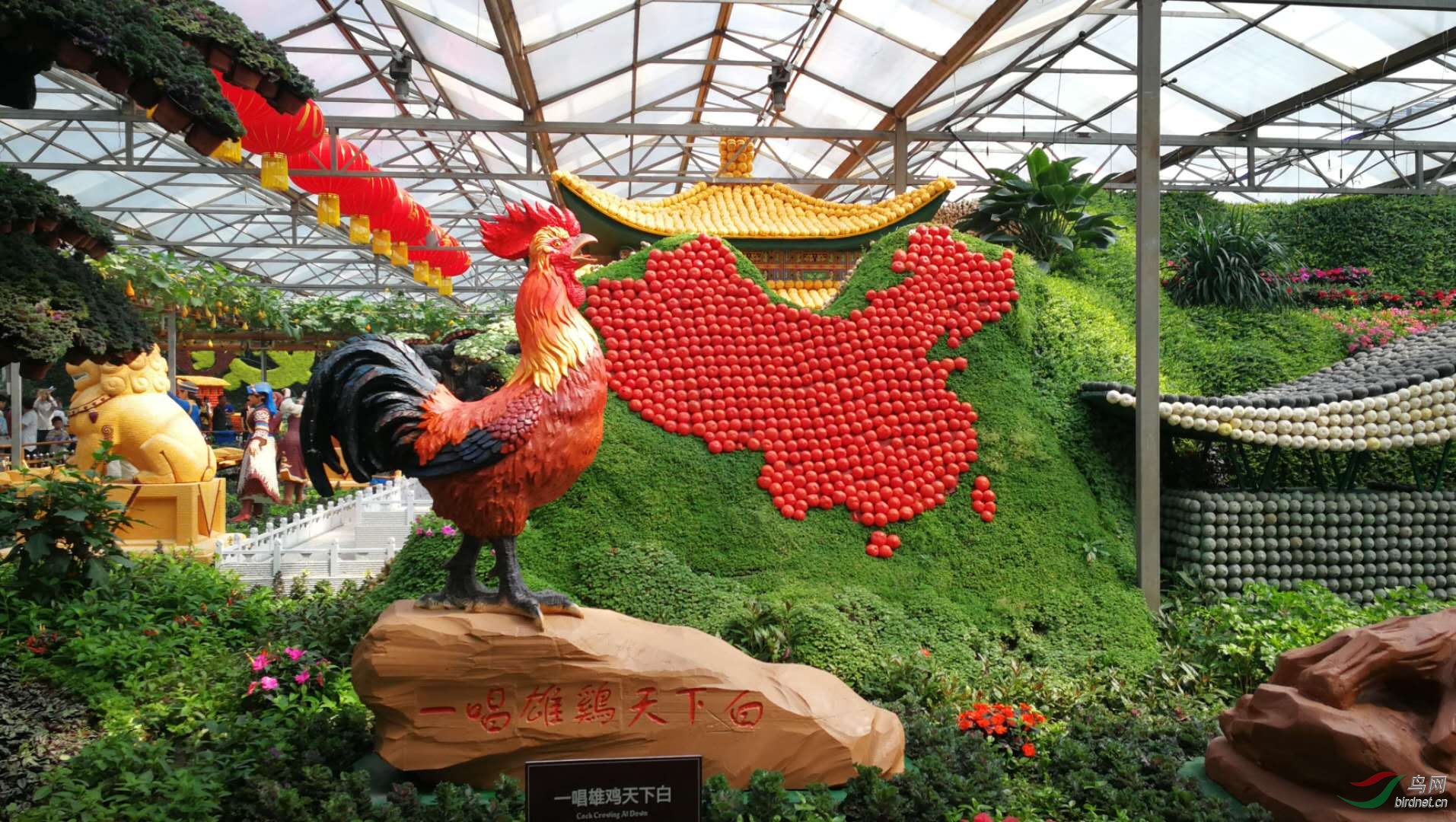 寿光菜博会的精彩