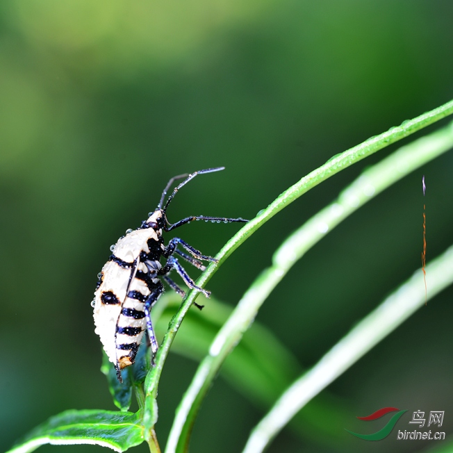 DSC_6667_����_����.jpg