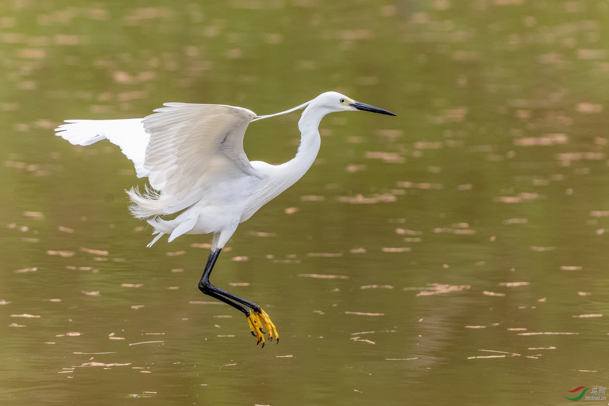 IMG_7839_DxO.jpg