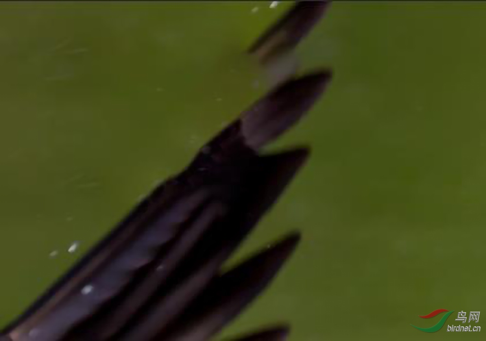 ͼ4-1.jpg