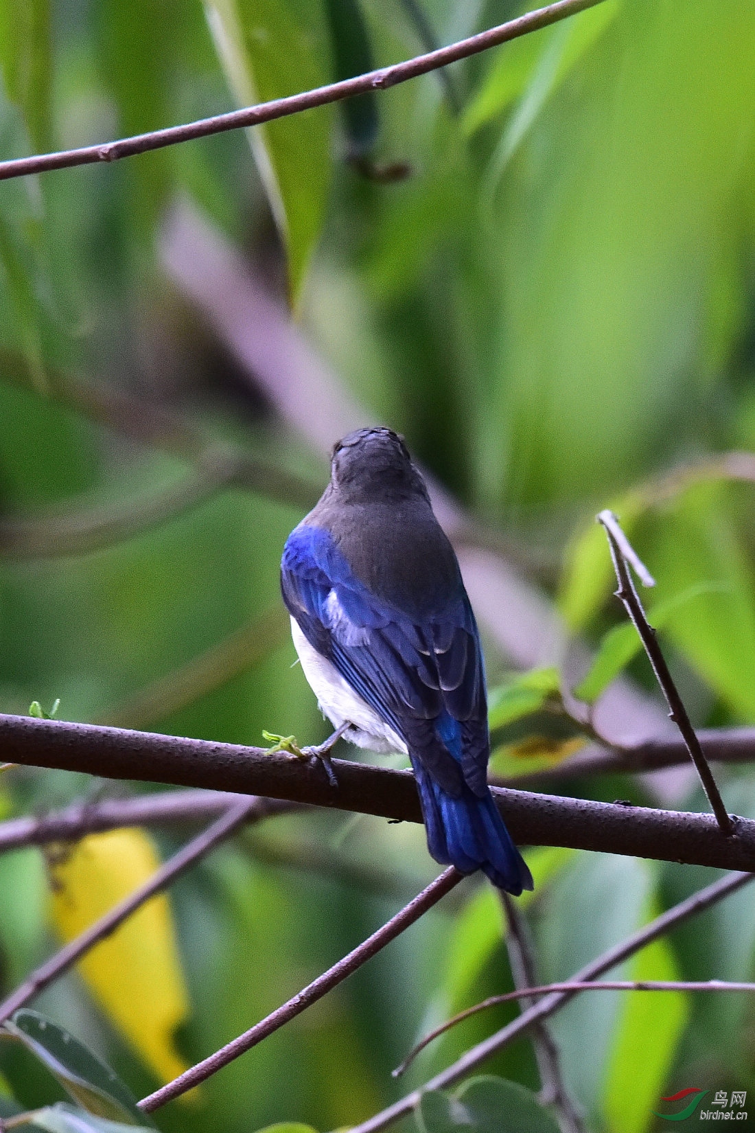 DSC_0556.JPG