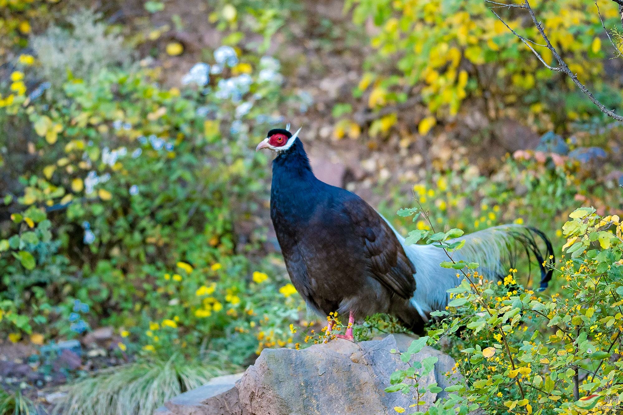 _DSC0618=.jpg