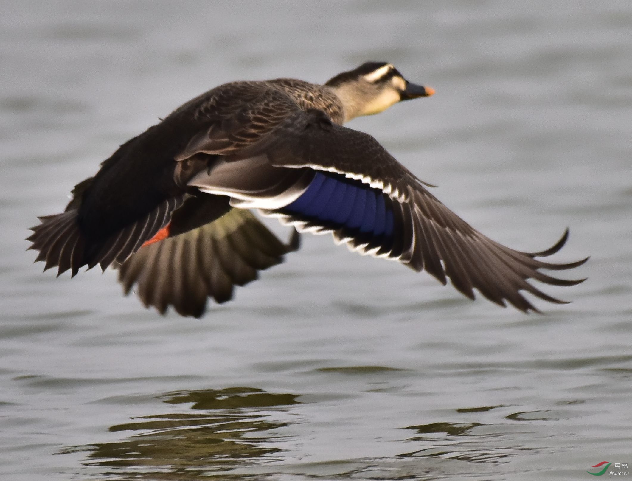 DSC_5764_����_���� (2).jpg