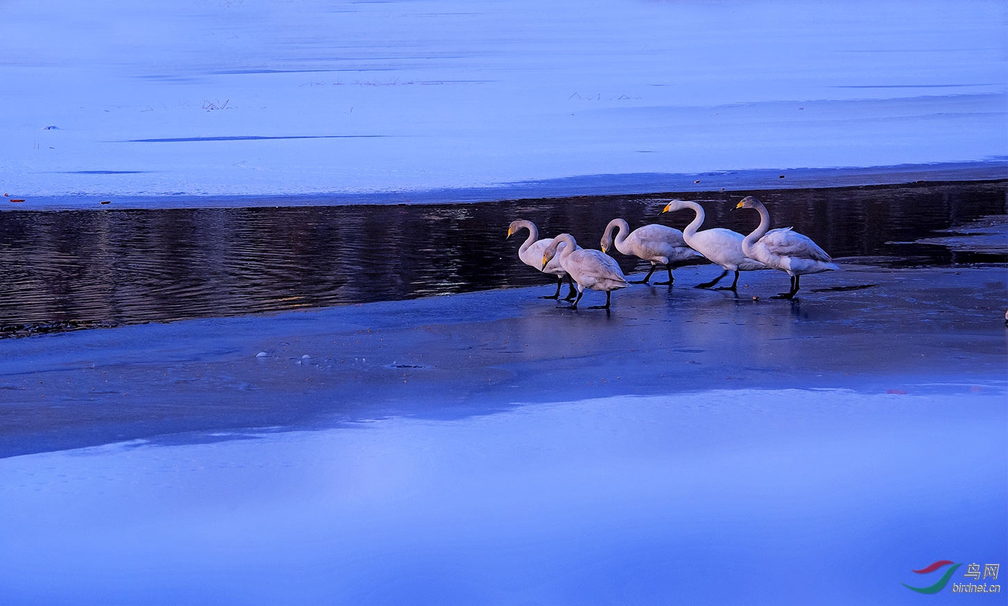 DSC_6619.jpg