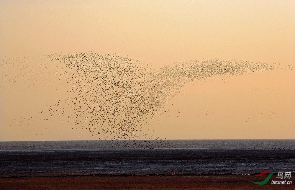 ��������չ��