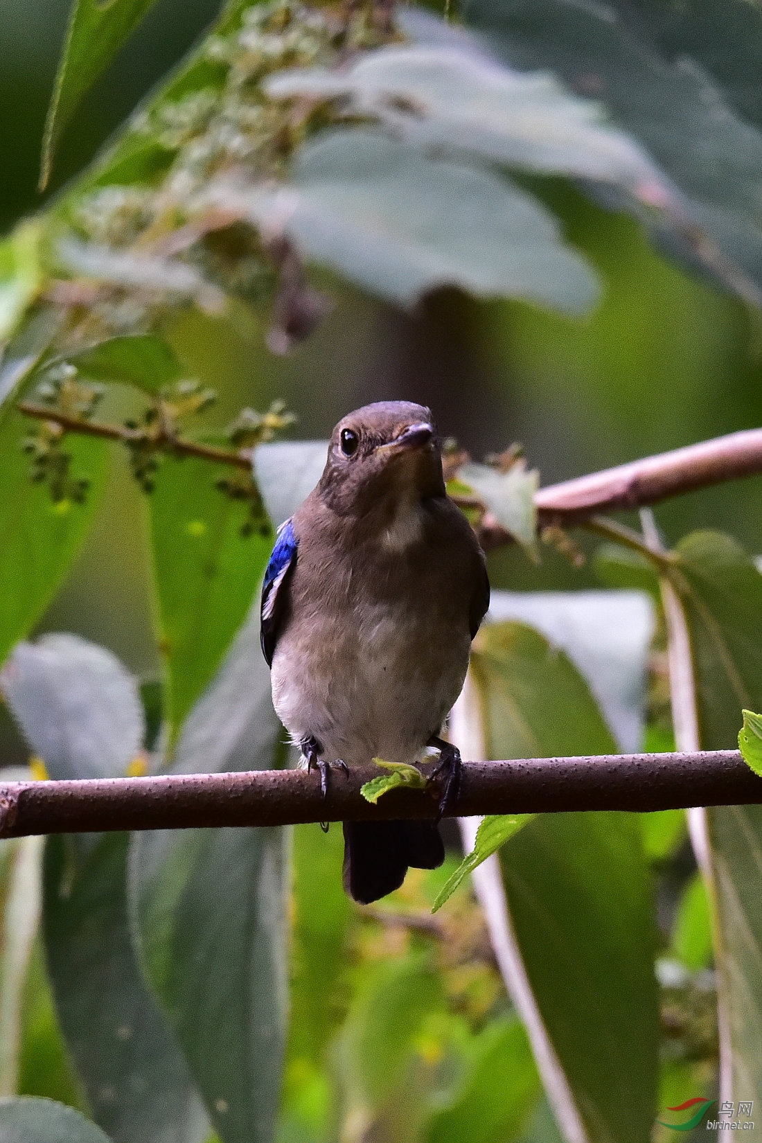 DSC_0560.JPG