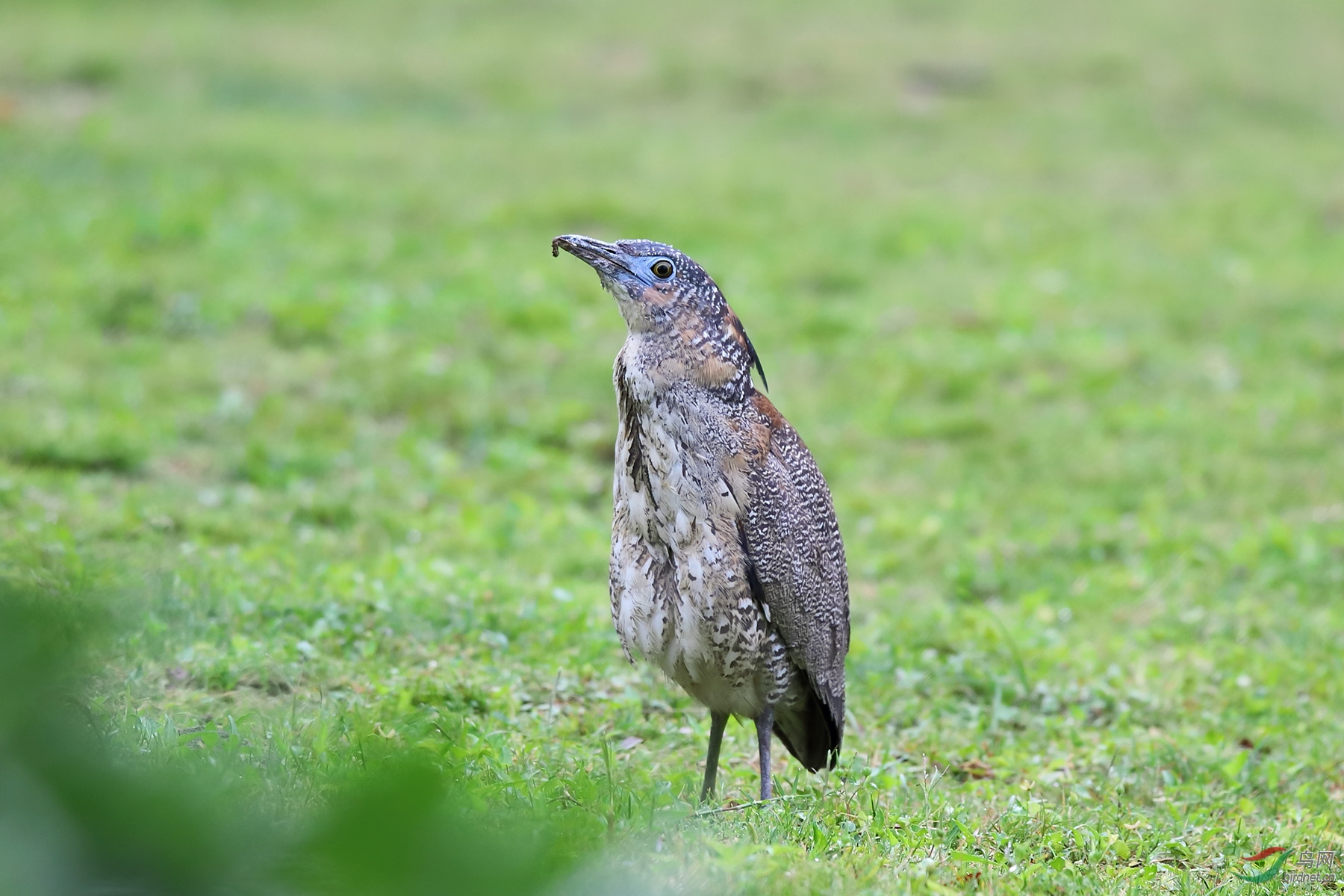 IMG_84888.jpg