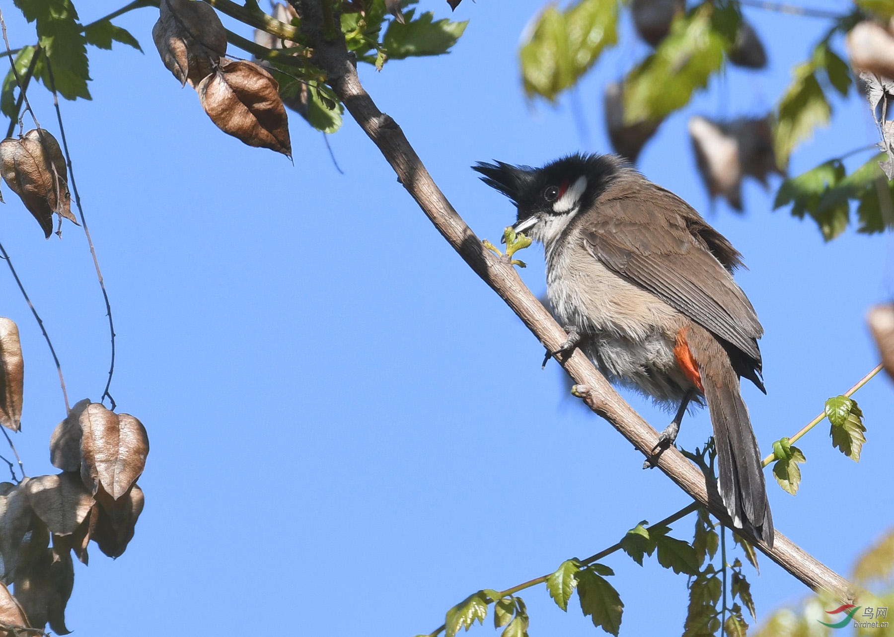 ������Ӱ 1675����.jpg