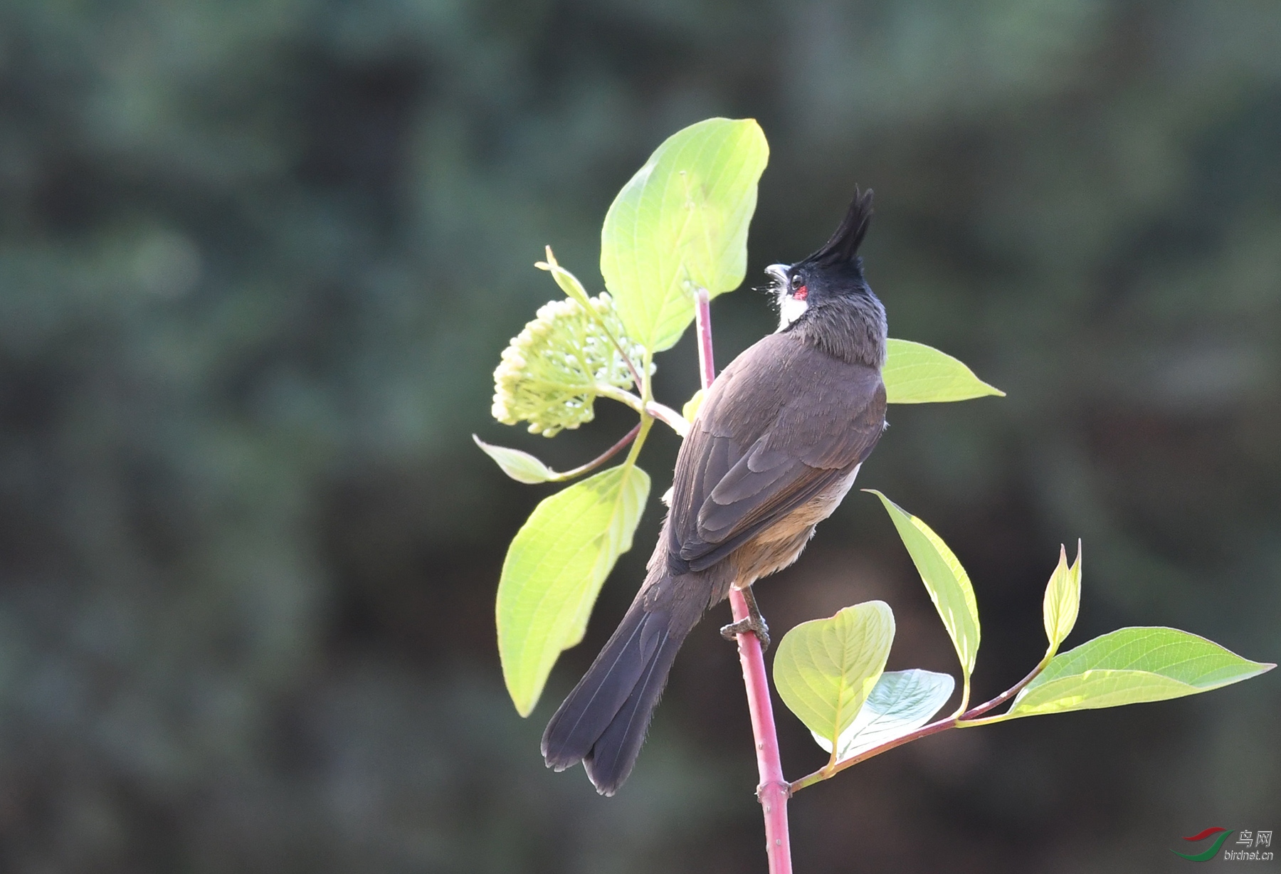 ������Ӱ 1849����.jpg