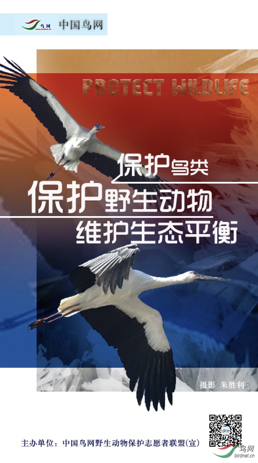 7c9b6194e17cc38be915ccda8b496ca.jpg
