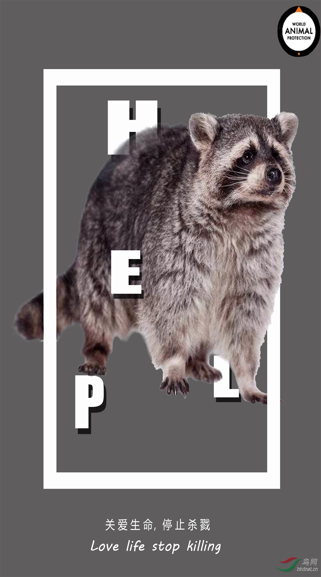 211e.jpg