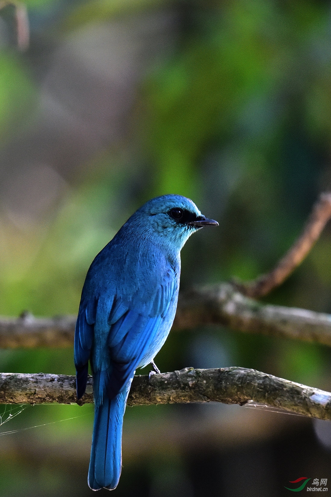 DSC_0564.JPG