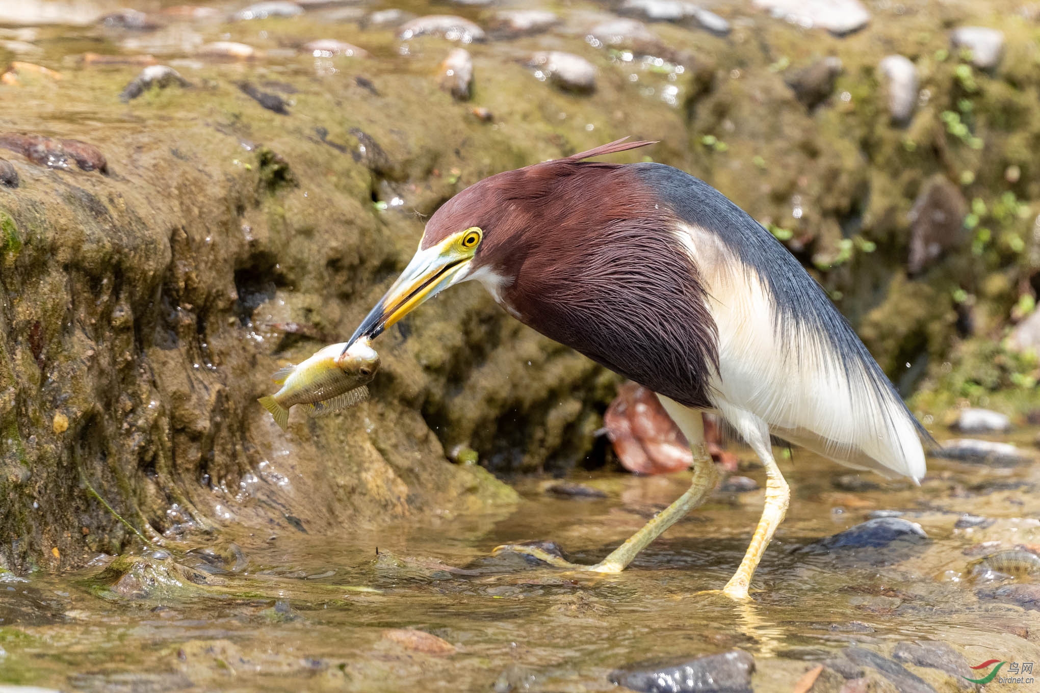 IMG_8314_DxO.jpg