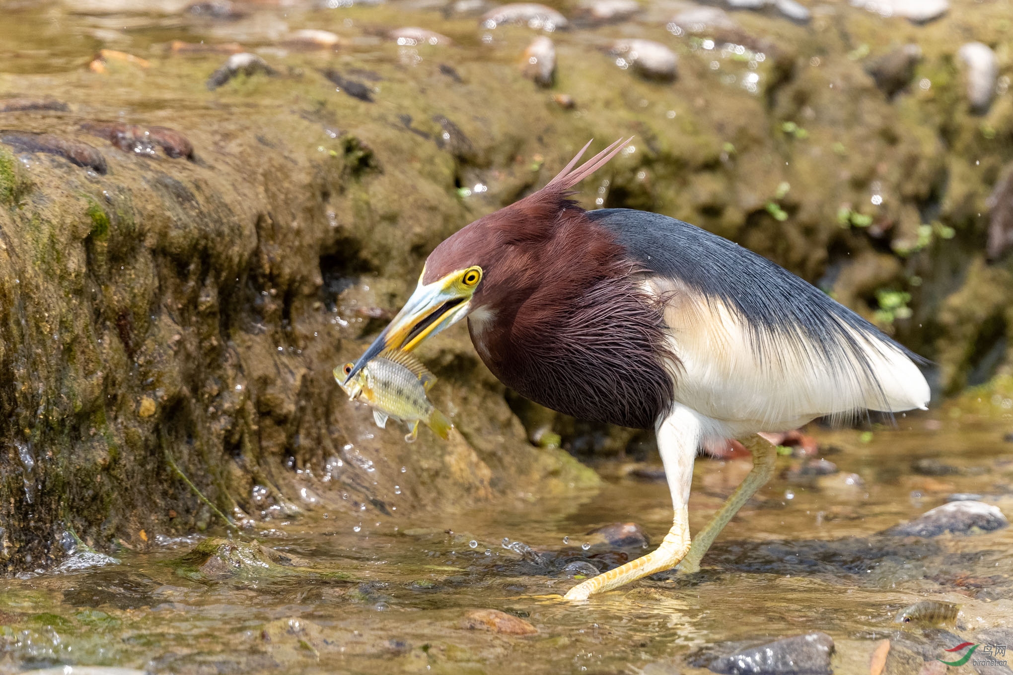 IMG_8295_DxO.jpg