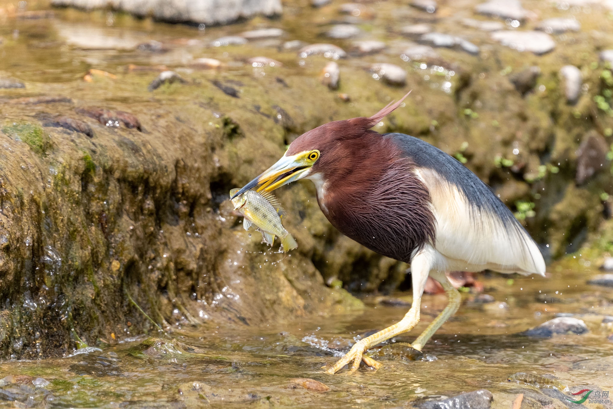 IMG_8298_DxO.jpg