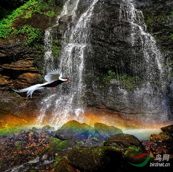 ��Ȼ��̬  ��Ӳʺ硾���4-3-��-���硿2015.10.23������̩�ٝT�� ������������ӳ�˰ٝT���������Ĳʺ��ٲ����龰  ��Ӣ��  13799404389 (3)_����_����.jpg