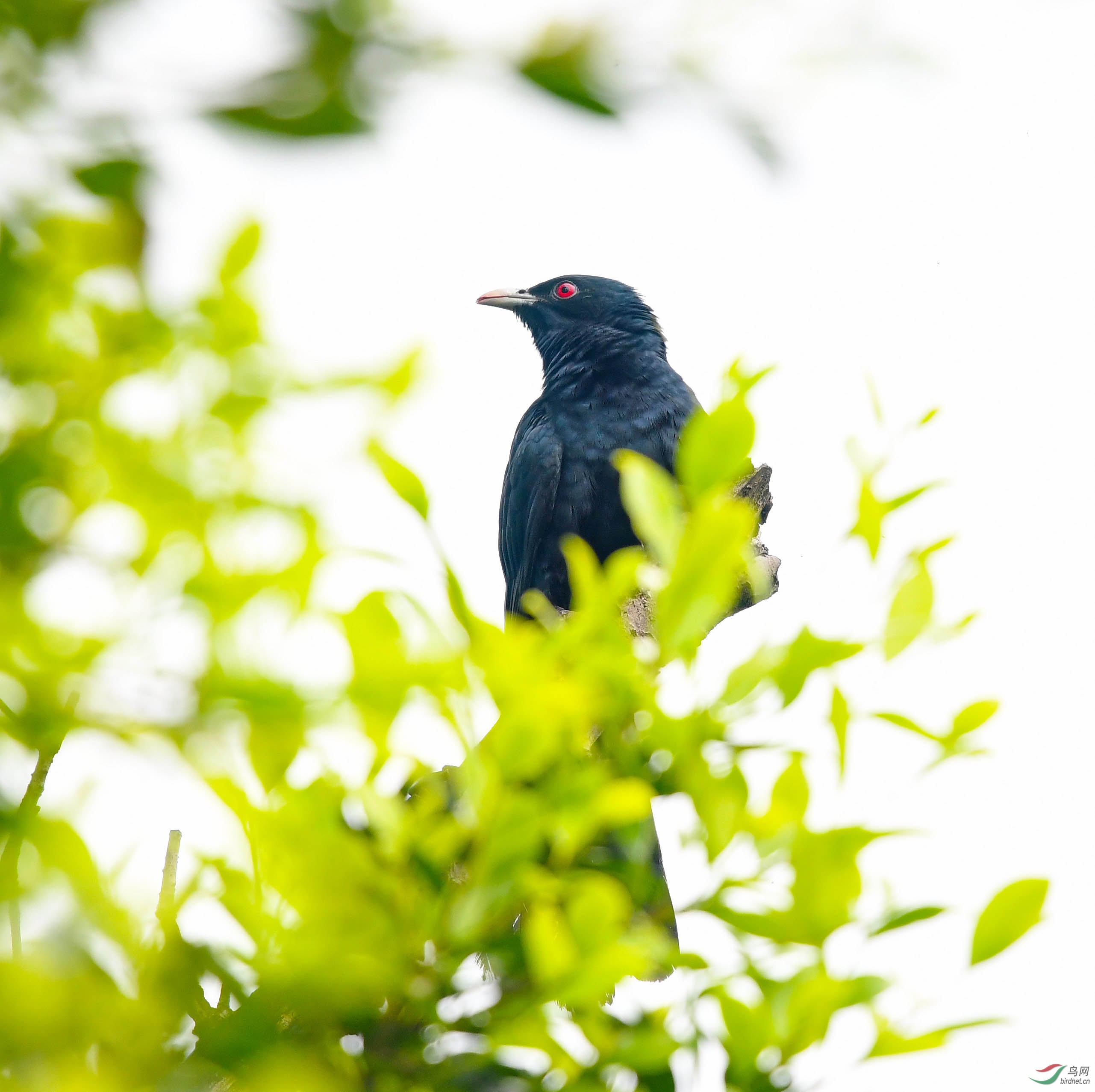 DSC_8698.JPG