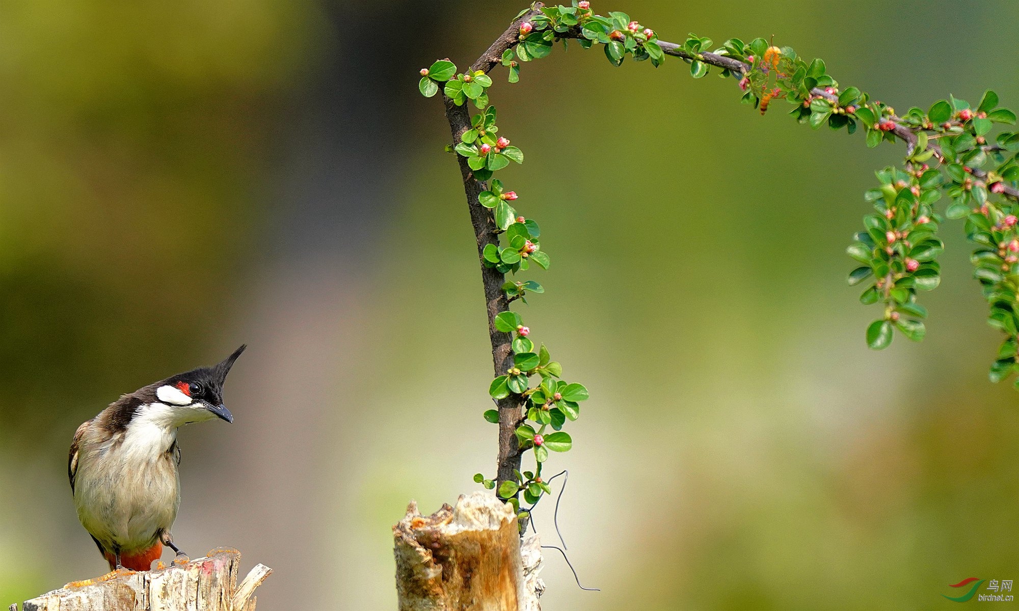 4 DSC01808_����_����_����.jpg