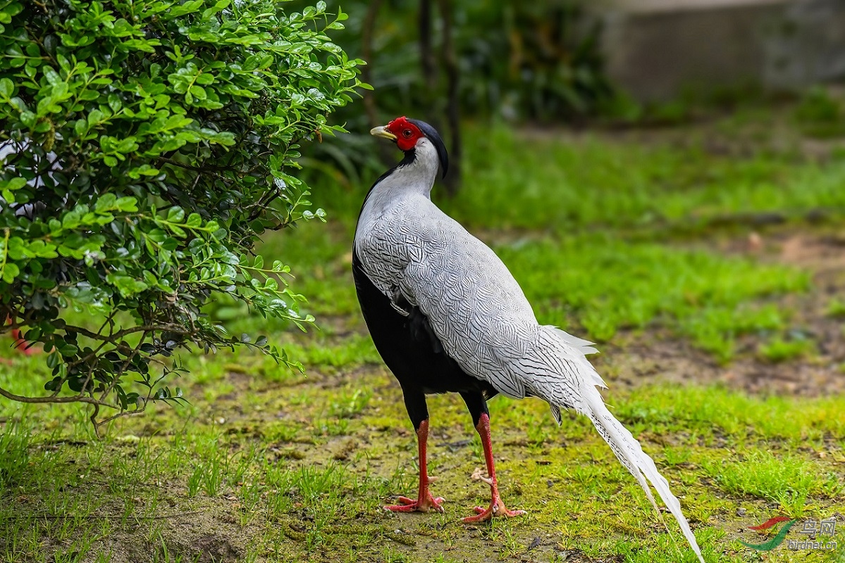 DSC_0159.jpg