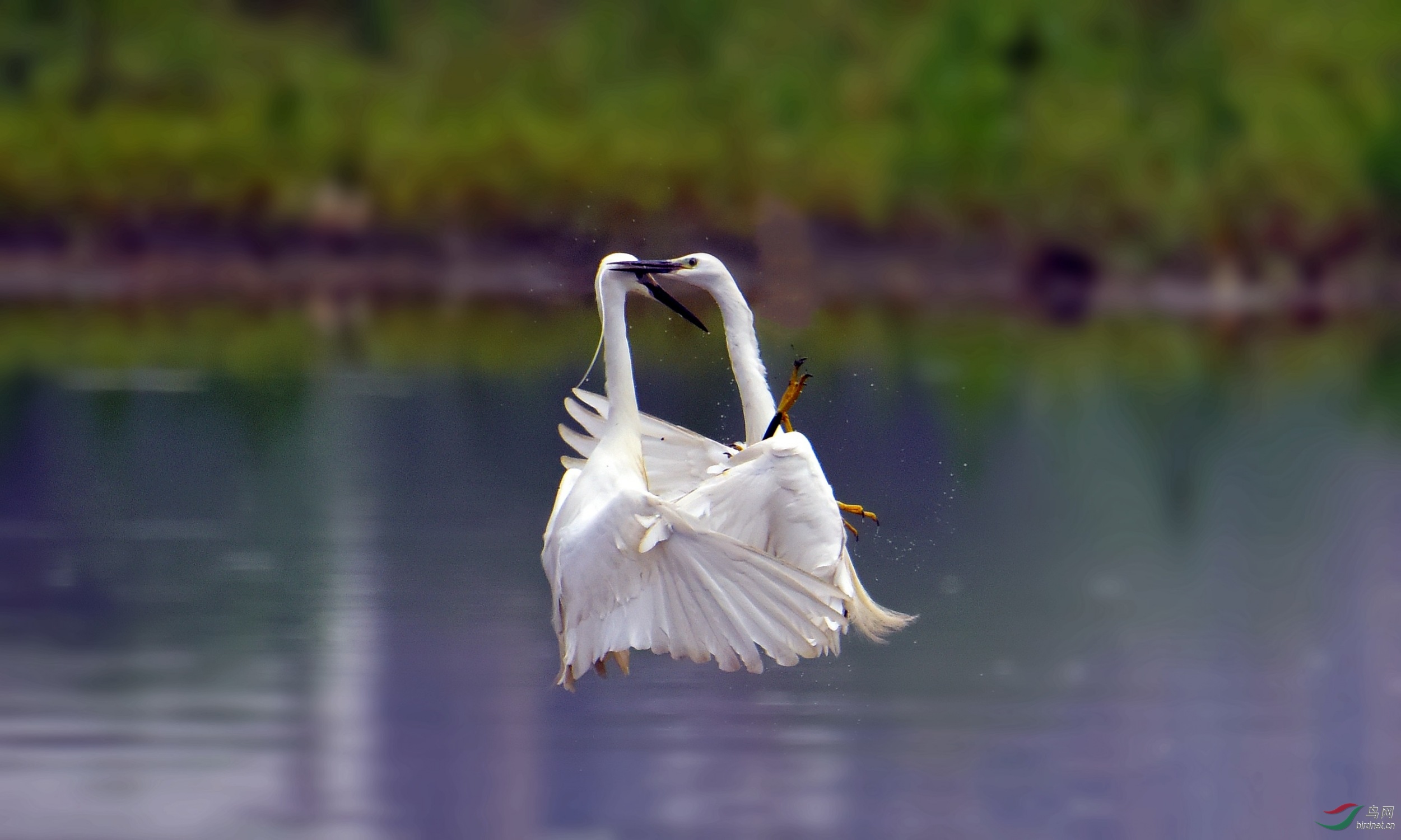 DSC_0734_conew4.jpg