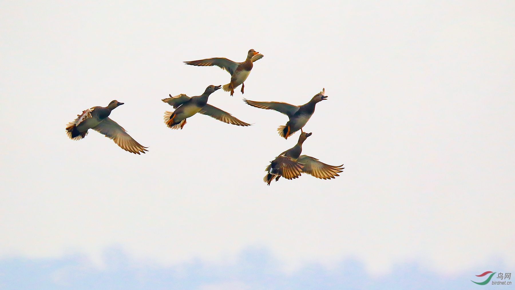 ����֮��