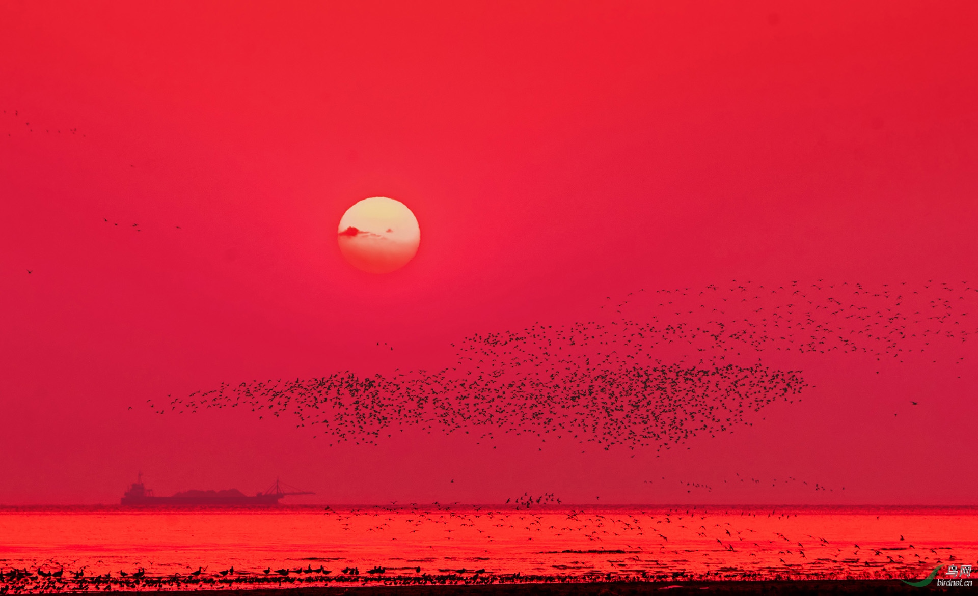 B  S   2I7905_filtered.jpg