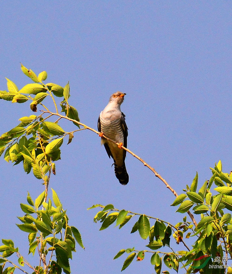 DSC_7189.JPG