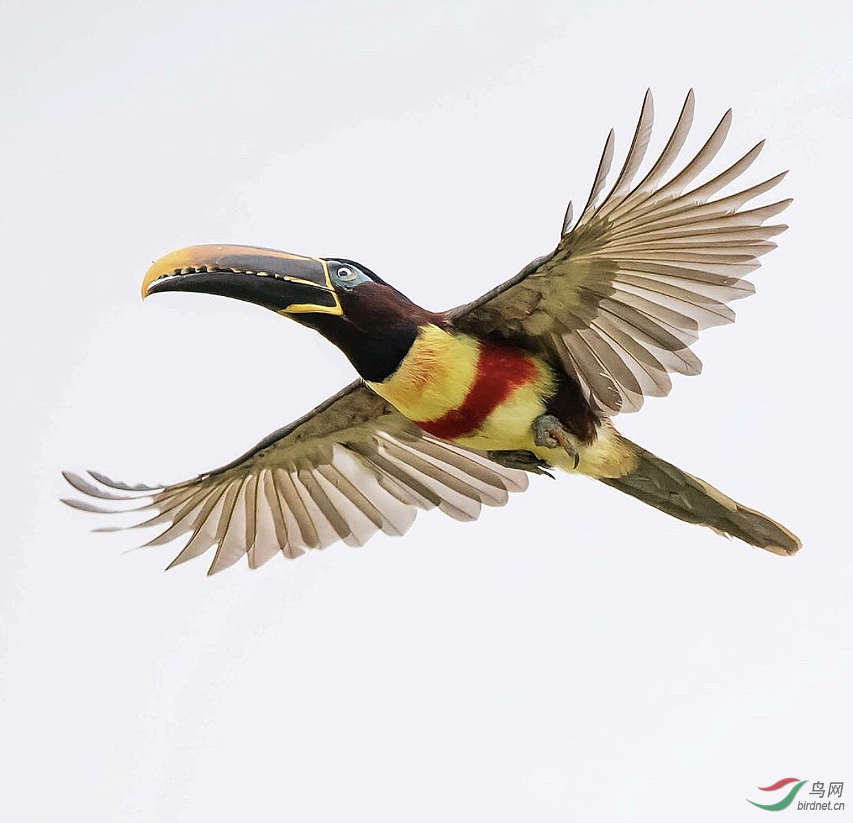 �������������