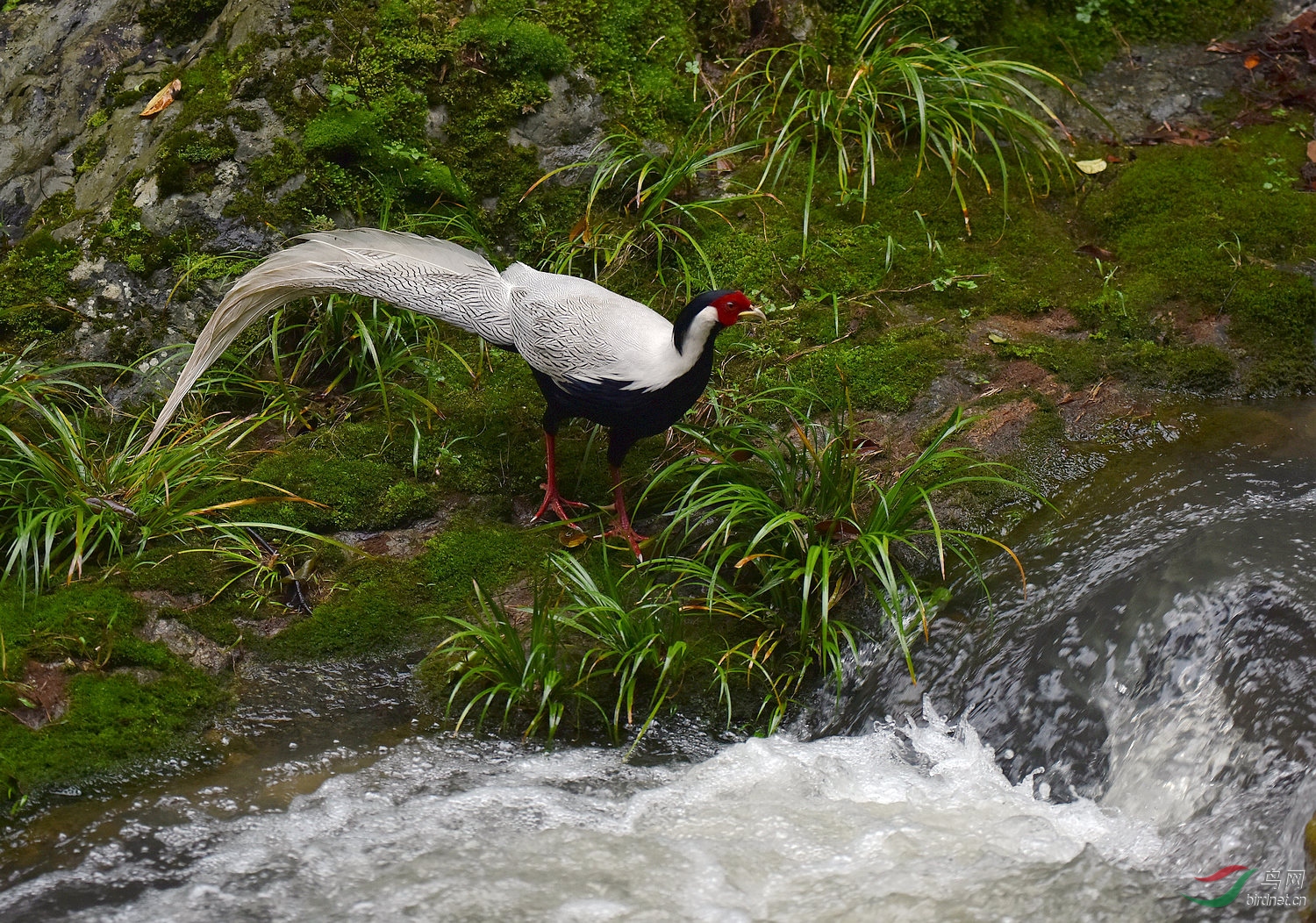 D8I_0030.jpg