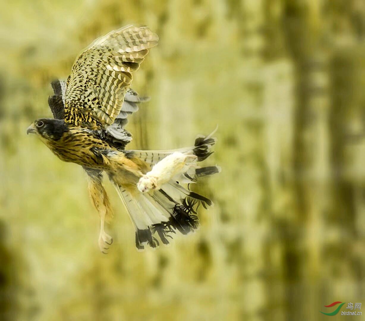 1C18E3AB-00E5-4DBF-B301-16402BF6DF27.jpeg