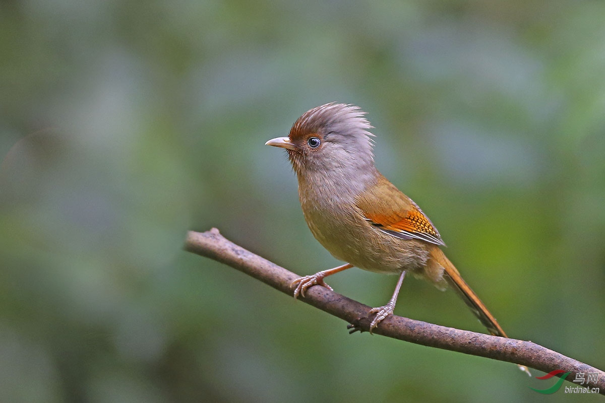 CK6K6538.JPG
