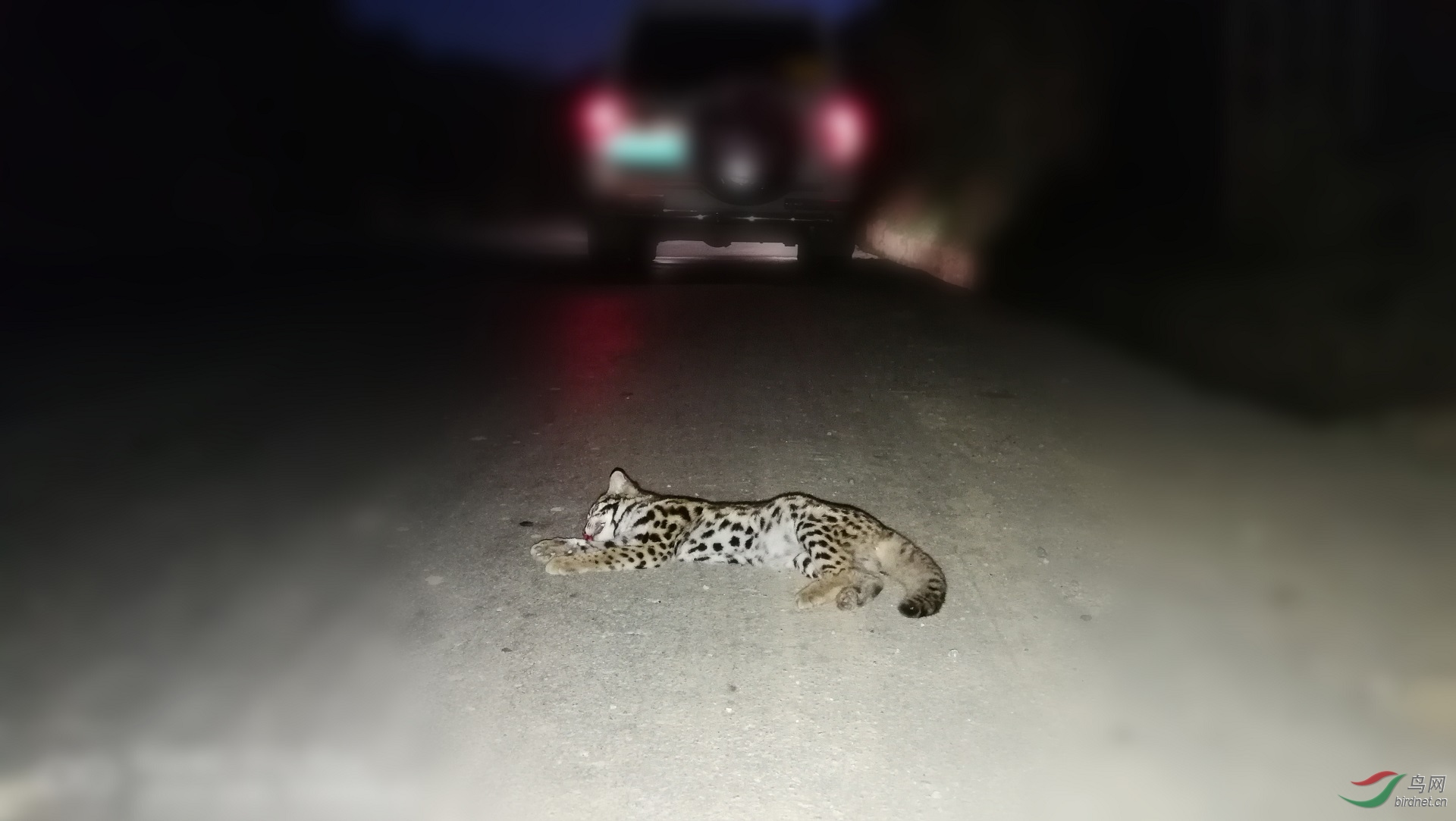 ΢��ͼƬ_20191225143341.jpg