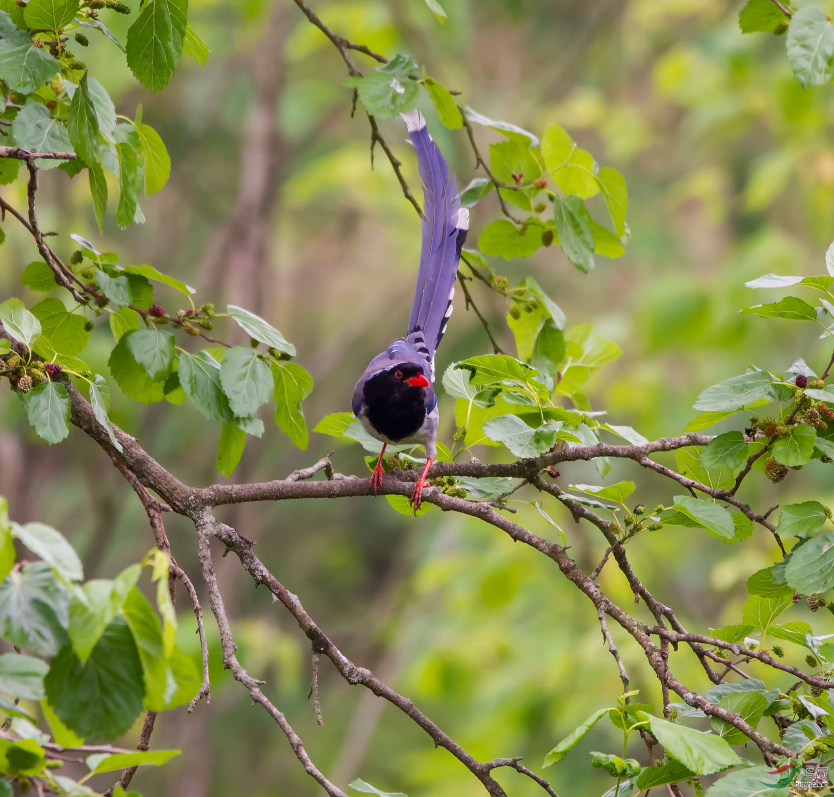 DSC_2653.jpg