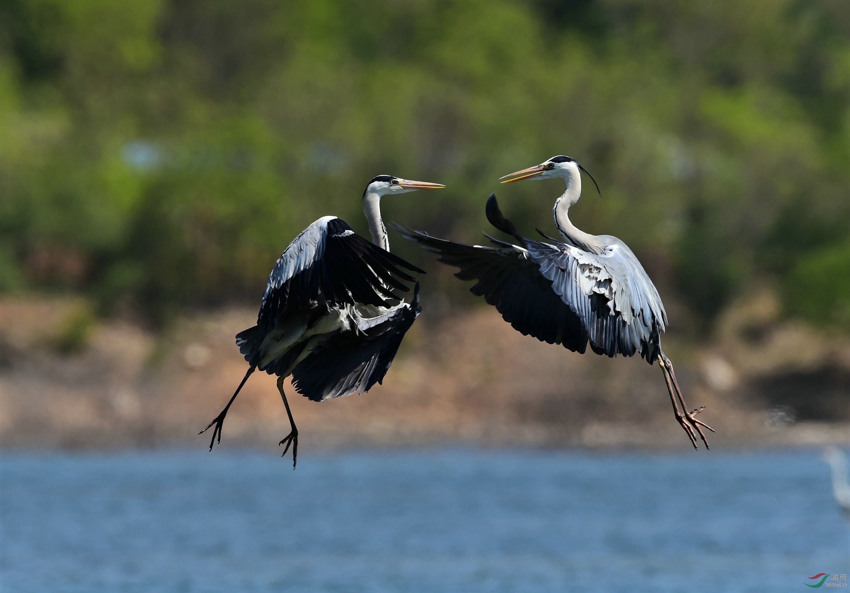 AAA_3845 - ����.jpg