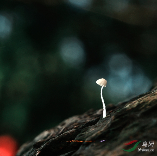018_����.jpg
