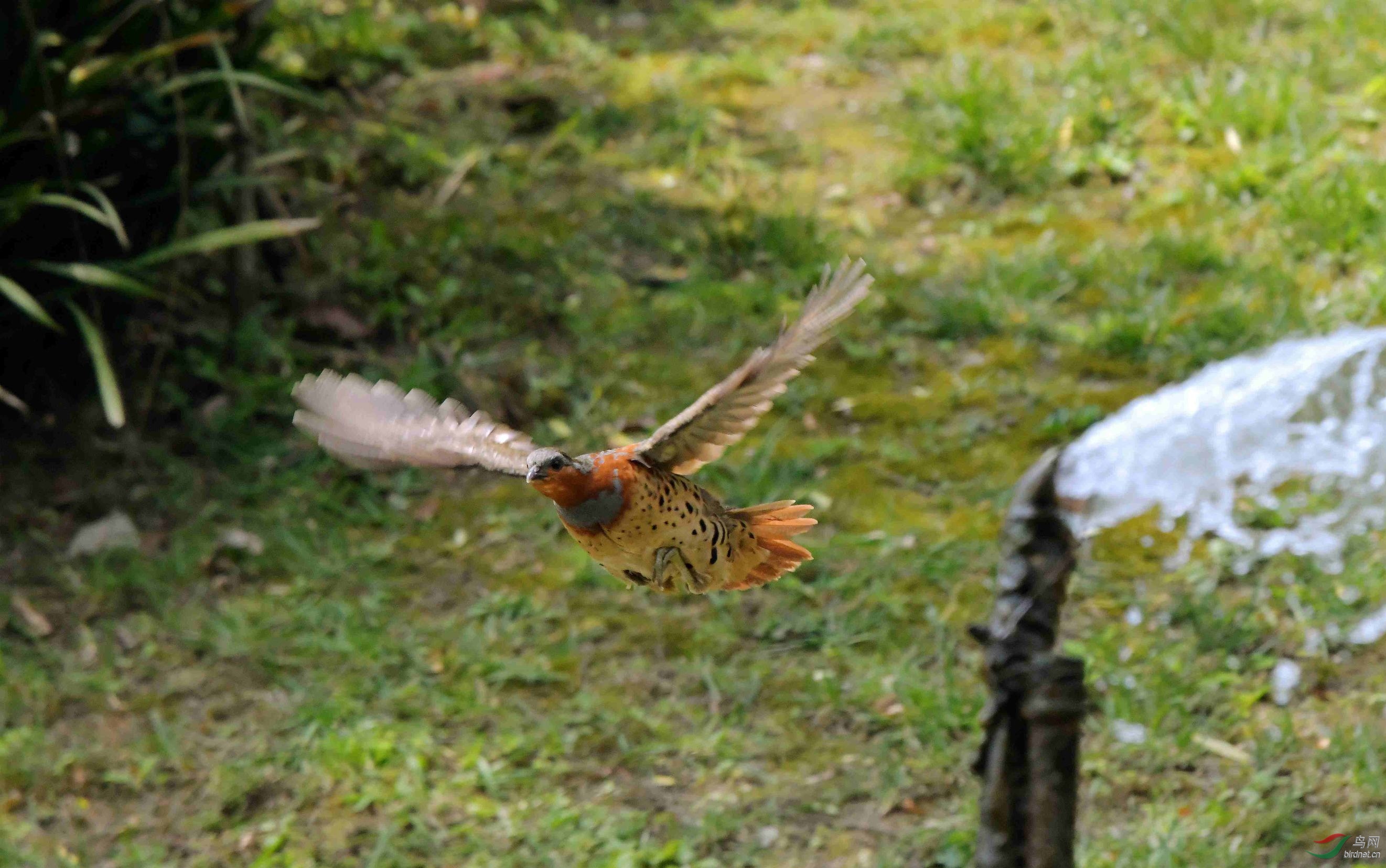 DSC_9209.jpg