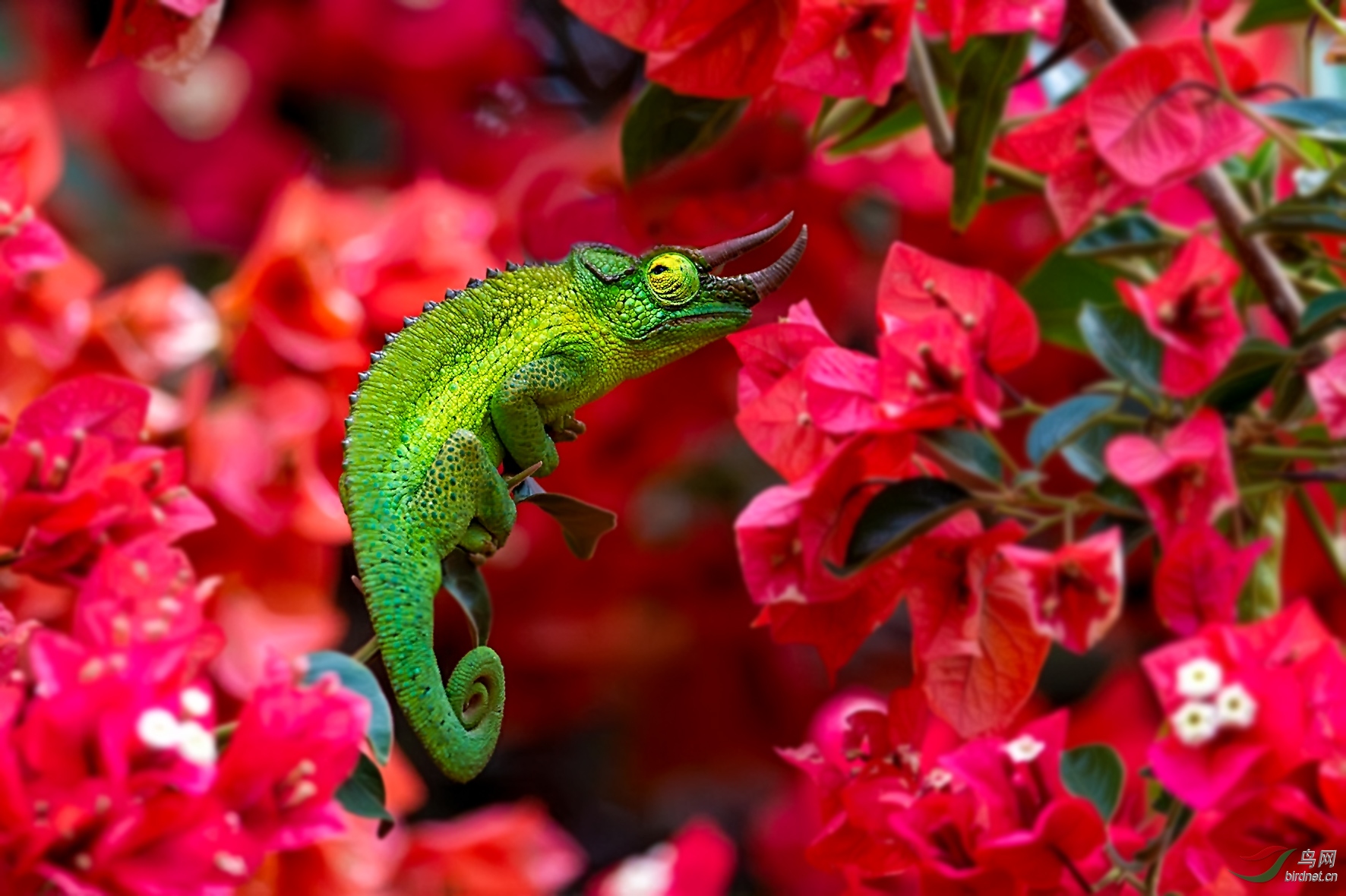 DSC_3577.jpg