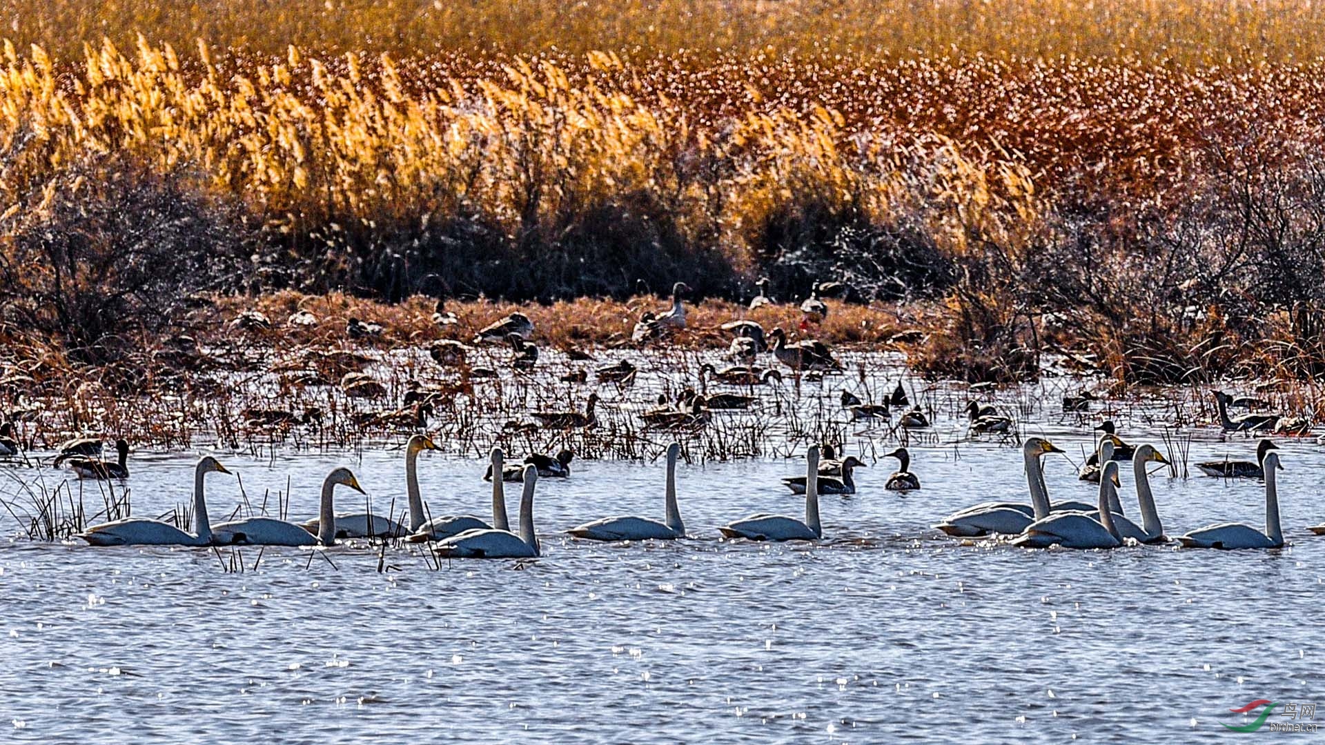 DSC_06751.jpg
