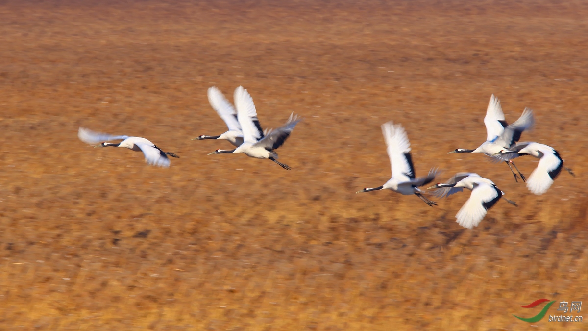 έ������