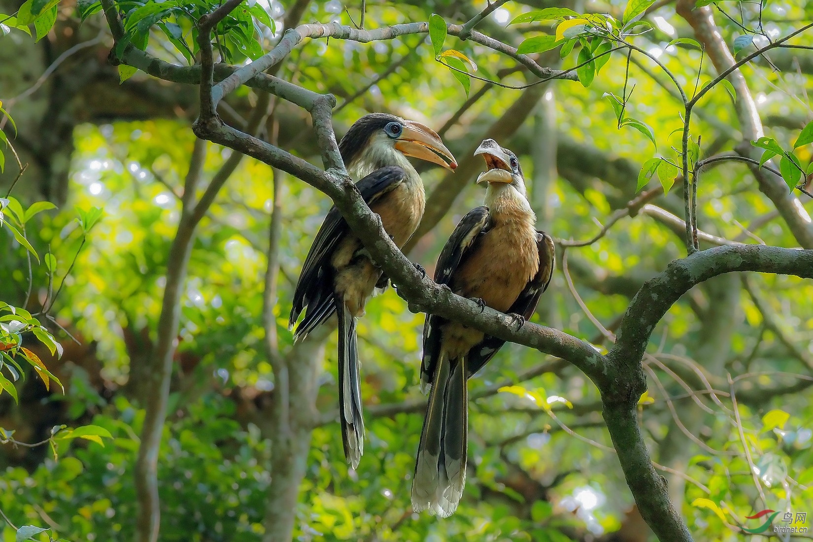 P3220441_����.jpg1_DxO (����).jpg