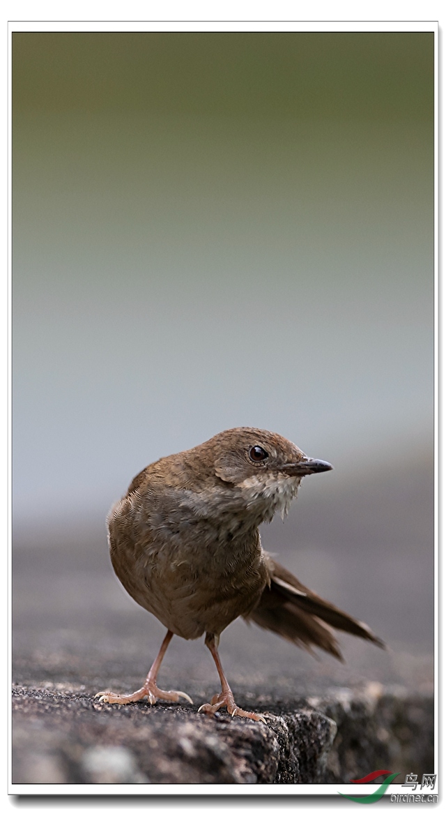 _DSC4268_����_����.jpg