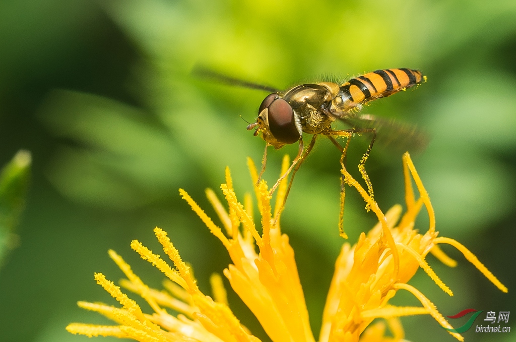 �������ƣ����Ľ���  ���ߣ��ܻ�ͥ  ��������ɽ��  �绰��15911728771 (5).jpg