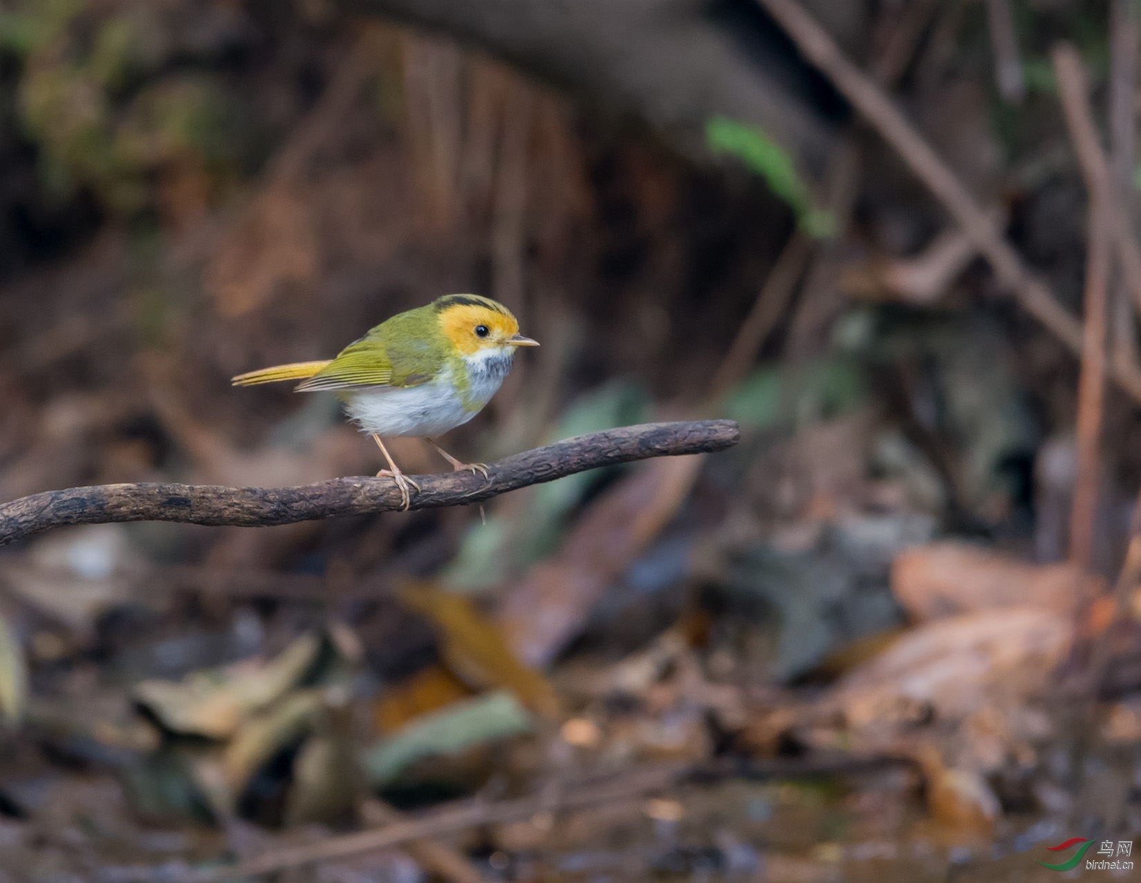 DSC_5601.jpg