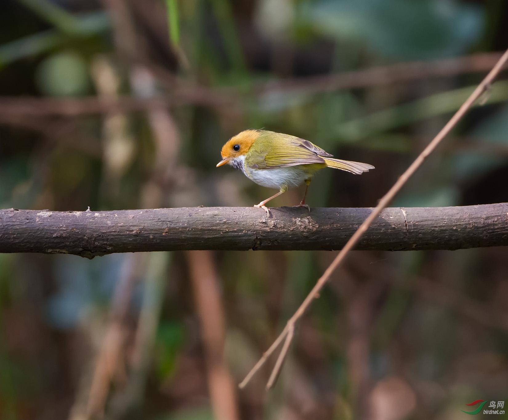 DSC_5550.jpg