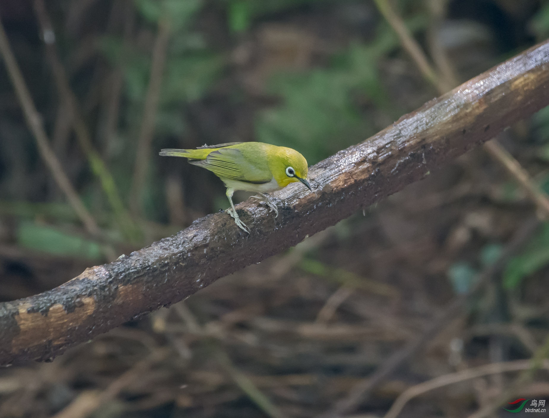 DSC_1898.jpg